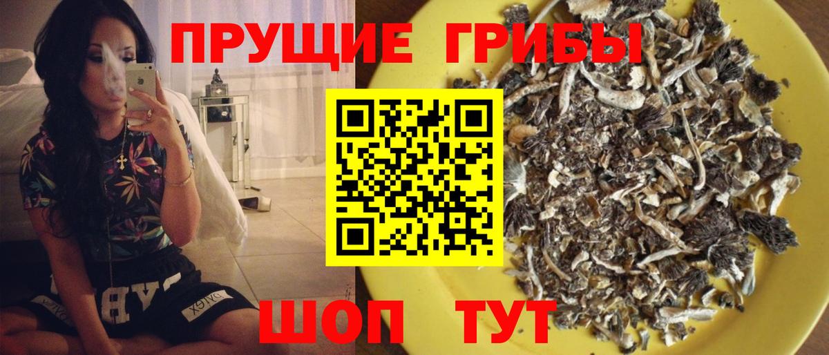 Галлюциногенные грибы Cubensis Мариинск
